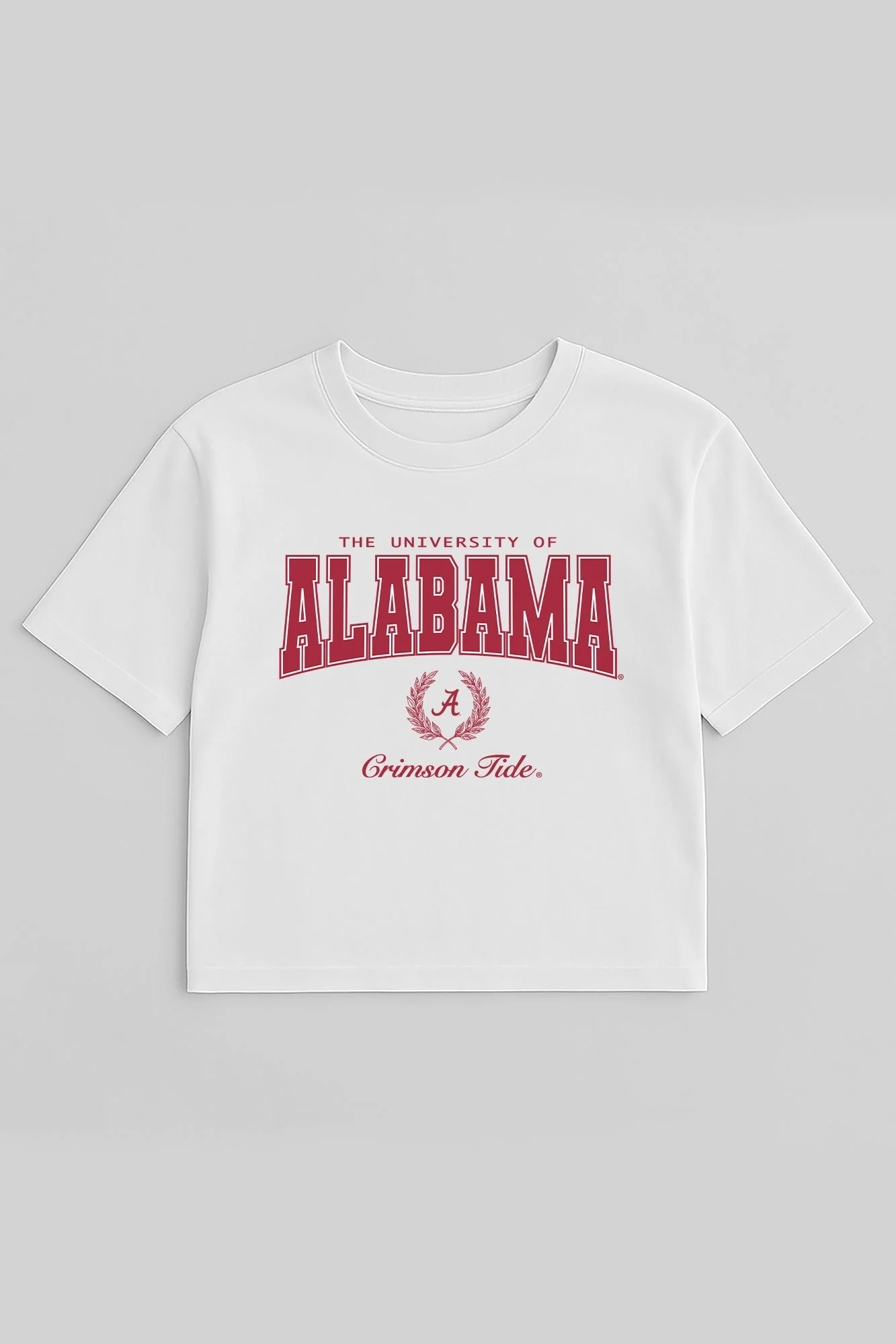 ALABAMA CRIMSON TIDE EASY WIN BOXY FIT CROP TEE - Image 5