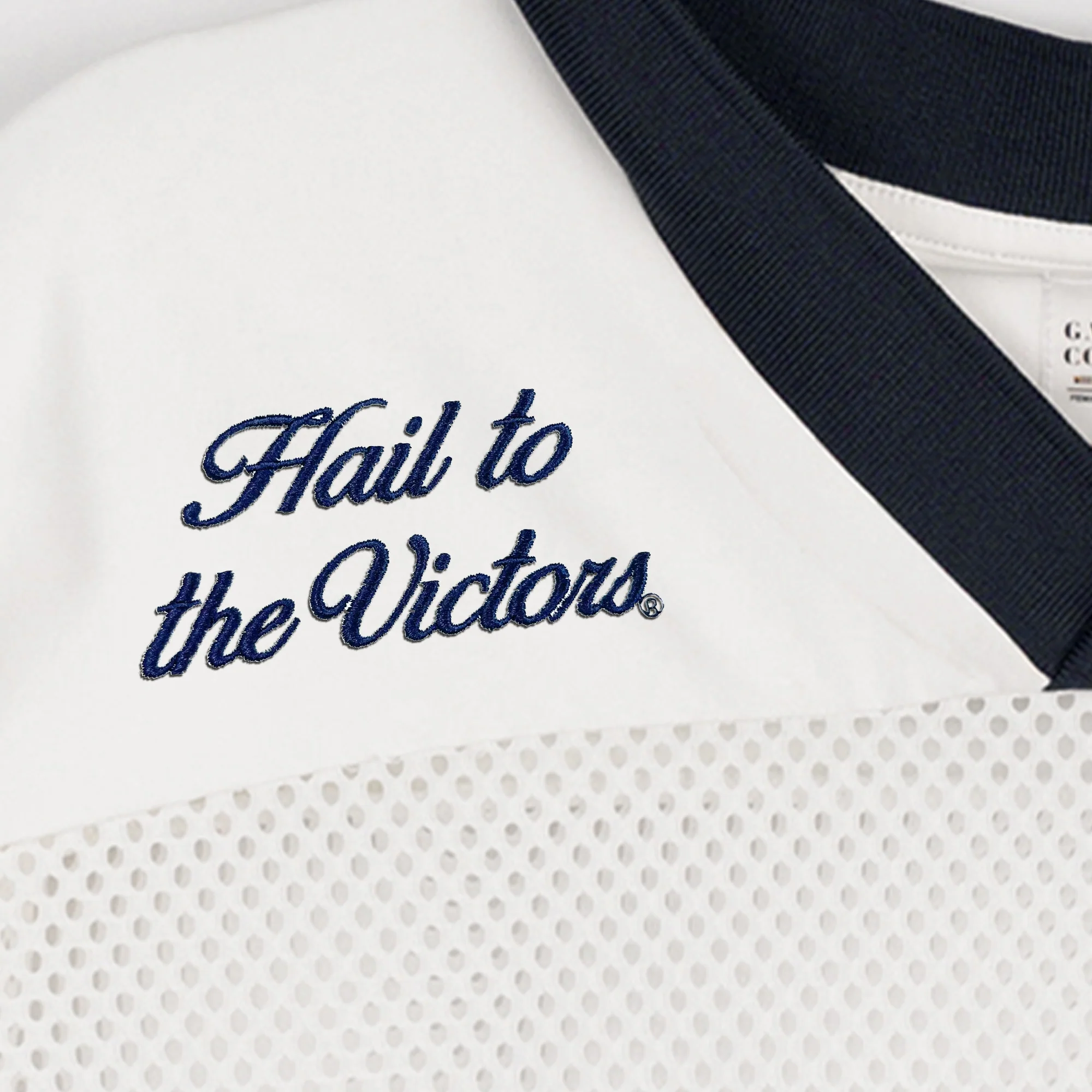 MICHIGAN WOLVERINES TRAILBLAZER MESH CROP FASHION JERSEY - Image 7