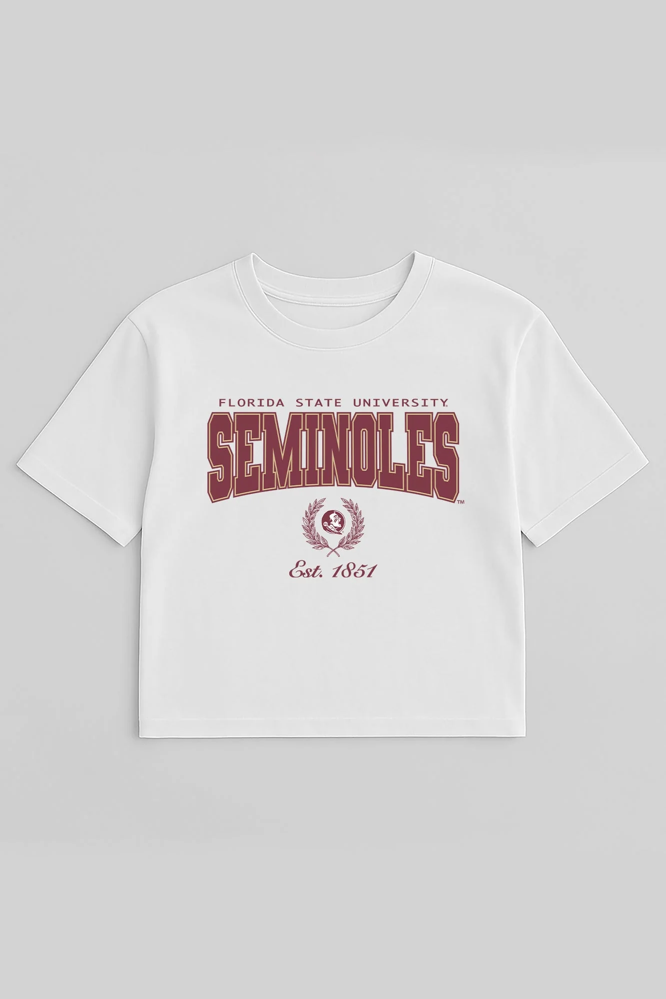 FLORIDA STATE SEMINOLES EASY WIN BOXY FIT CROP TEE - Image 5