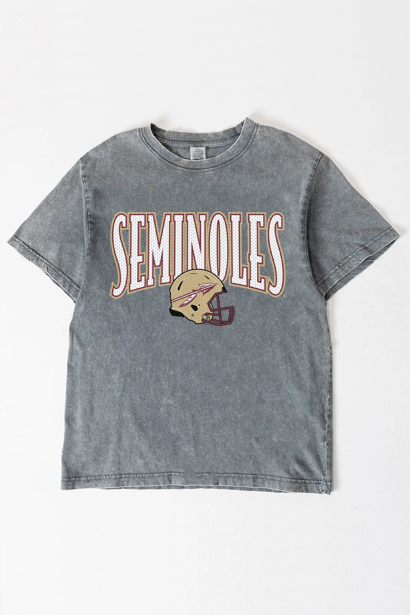 FLORIDA STATE SEMINOLES PLAYBOOK WIN OVERSIZED CREWNECK TEE - Image 6
